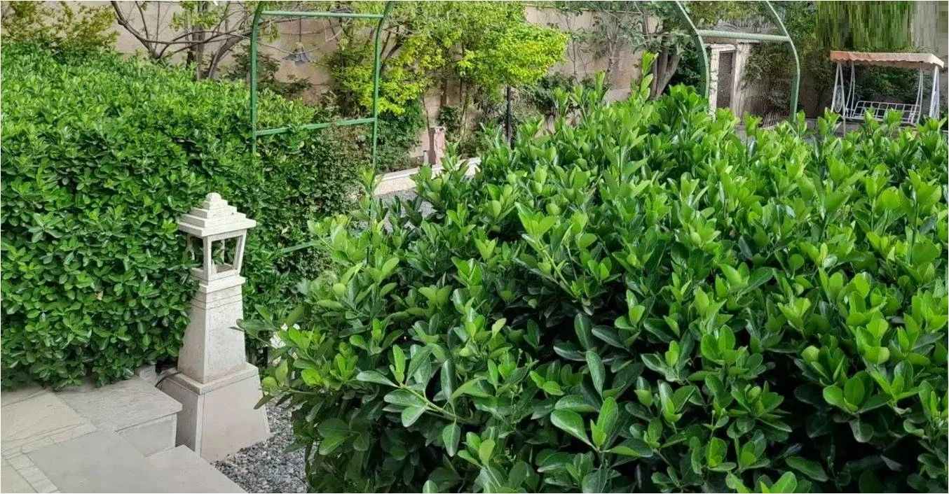 فروش باغچه مشجر و محصور در لوکیشن بکر فیلزمین فیلیان لواسان