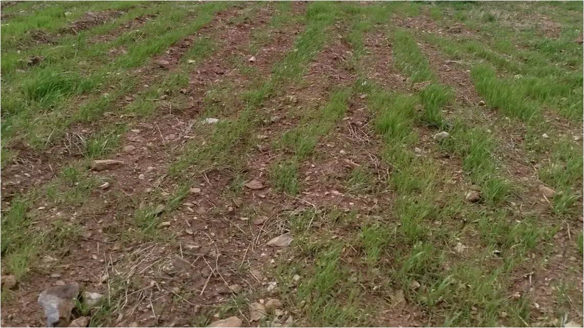 فروش زمین استثنایی در مرتفعترین نقطه لواسان روستای ایرا با ویوی دریای ابر